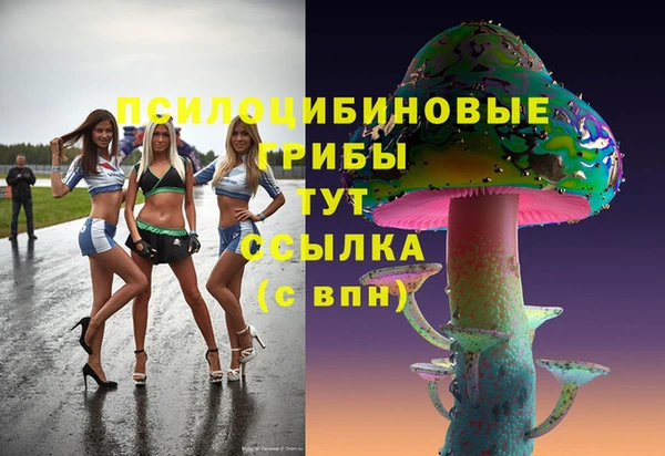 стаф Волоколамск