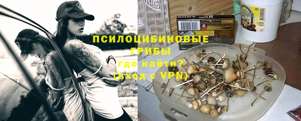 стаф Волоколамск