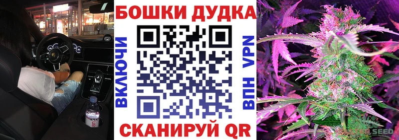 Шишки марихуана план  гидра зеркало  Петровск 